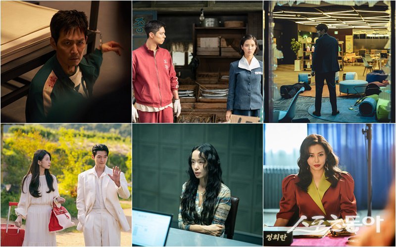 왼쪽부터 시계방향으로 ‘오징어 게임’, ‘폭싹 속았수다’, ‘광장’, ‘애마’ , ‘애마’, ‘다 이루어질지니’ 스틸, 사진제공|넷플릭스