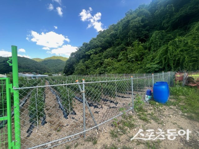 임실군 도내 경작지. 사진제공=임실군