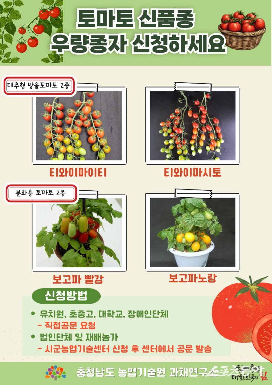 토마토 신품종 분양 신청 웹포스터. 사진제공｜충남도청