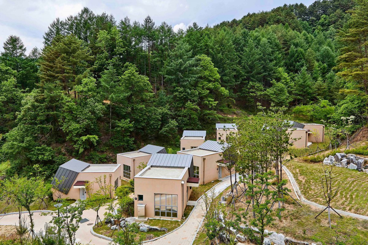 금강송 에코리움 사진제공|울진군