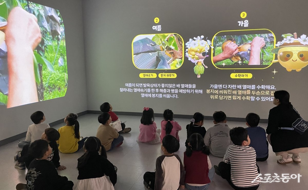 실감콘텐츠관 나주배 재배과정 영상. 사진제공=나주시