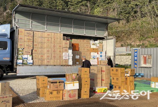 울릉군 지역에서 생활물류 운임작업을 하고 있다. 사진제공 ㅣ 울릉군
