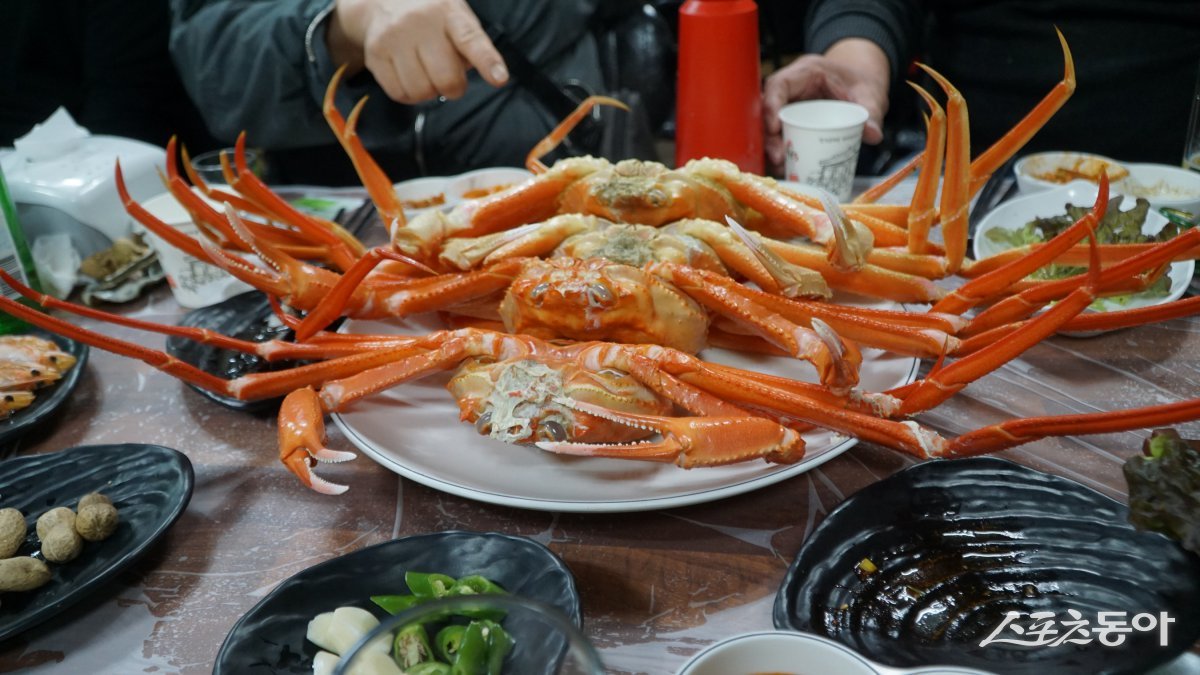 20년 넘는 업력을 자랑하는 울진 터줏대감 왕돌회수산의 먹음직스러운 울진대게. ‘찬바람이 불어야 속이 찬다’는 말이 있듯이 살이 제대로 오른 대게의 전성기는 2월이다                    울진｜김재범 기자 oldfield@donga.com