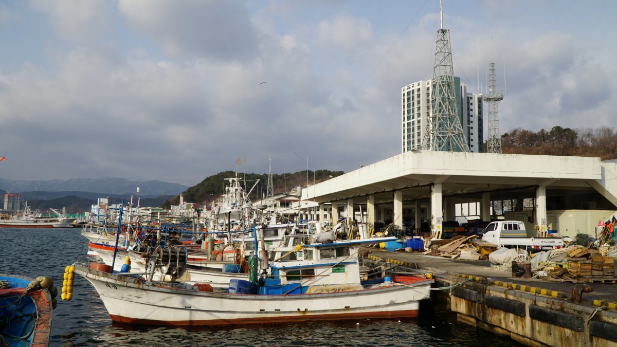 ‘대게 원조 마을’이라는 울진의 자존심을 상징하는 후포항.  국내 최대 대게잡이 어항으로 꼽힌다      울진｜김재범 기자 oldfield@donga.com