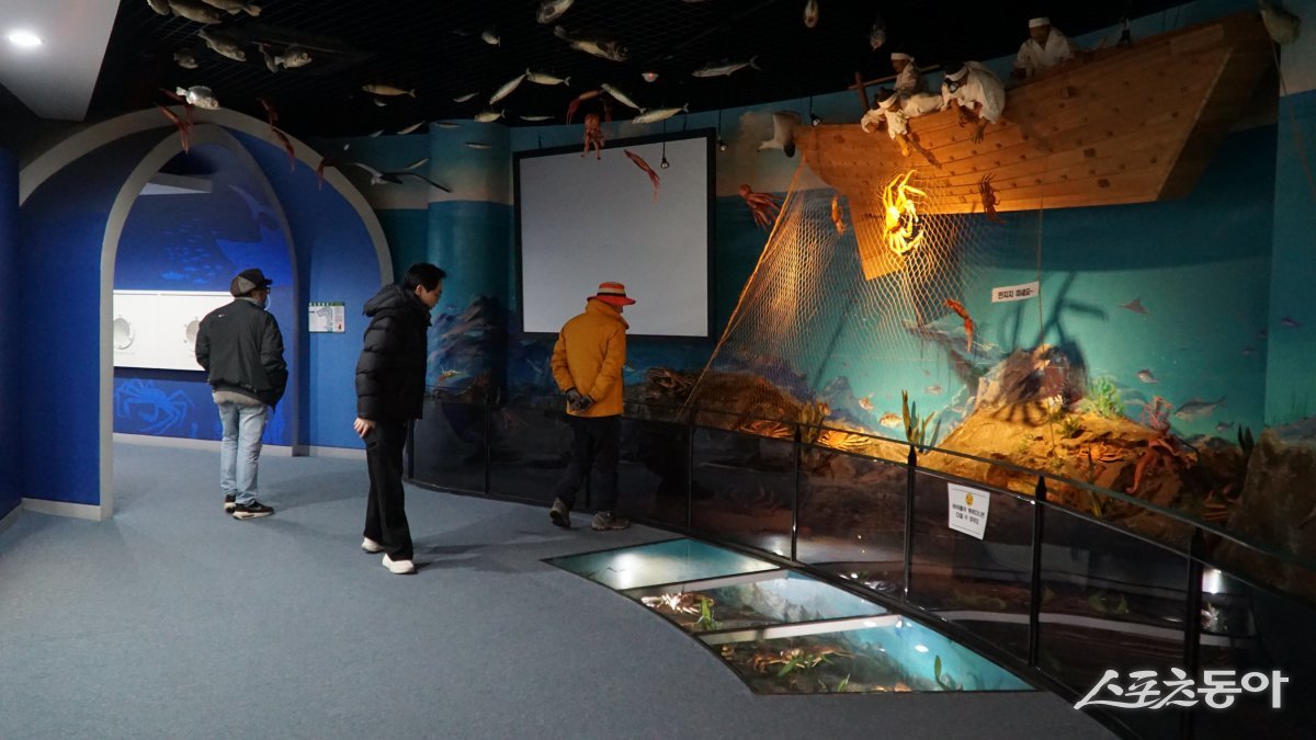 후포에 있는 울진대게홍보전시관 내부. 울진대게와 붉은대게에 대한 지식과 정보를 다양한 구성으로 소개하고 있다  울진｜김재범 기자 oldfield@donga.com