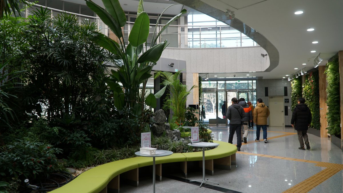 금강송 군락지에 있는 체류형 산림휴양시설 금강송 에코리움의 관리동.  이곳 숙박시설은 힐링과 디지털 디톡스를 지향하는 것이 특징이다         울진｜김재범 기자 oldfield@donga.com