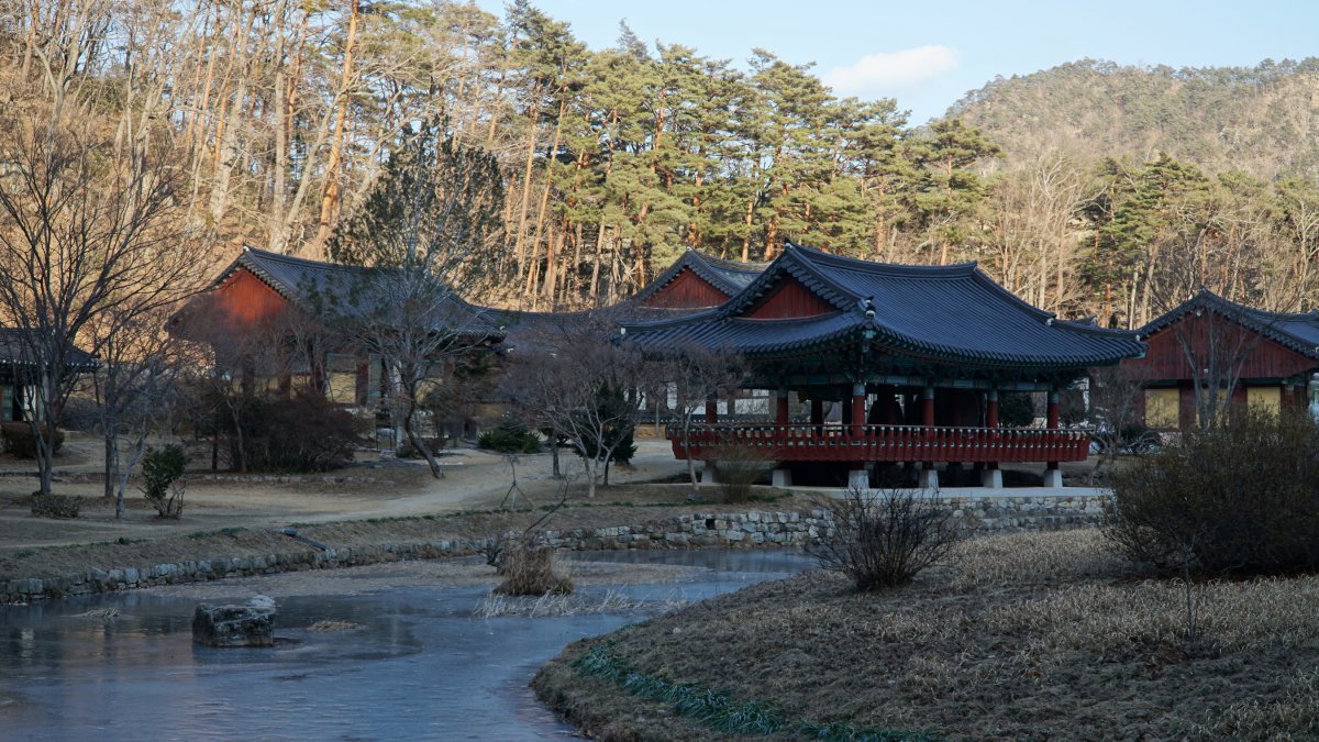 불영사 전경. 비구니 사찰로 크지는 않지만 연못을 앞에 두고 가람(절집)들이 예쁘게 자리잡고 있다     울진｜김재범 기자 oldfield@donga.com