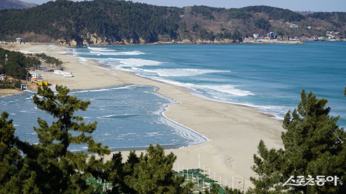 망양정에서 내려다 본 왕피천 하구. 왕피천의 강물과 동해 바닷물이 만나는 곳으로 왼쪽 강물 쪽은 추위로 수면이 하얗게 얼었지만 바다 쪽은 파도가 제법 세게 치고 있다.                         울진｜김재범 기자 oldfield@donga.com