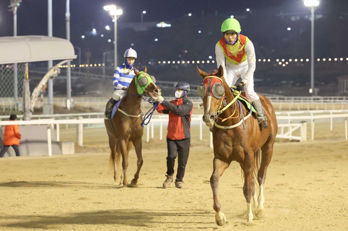 빈체로카발로 사진제공|한국마사회