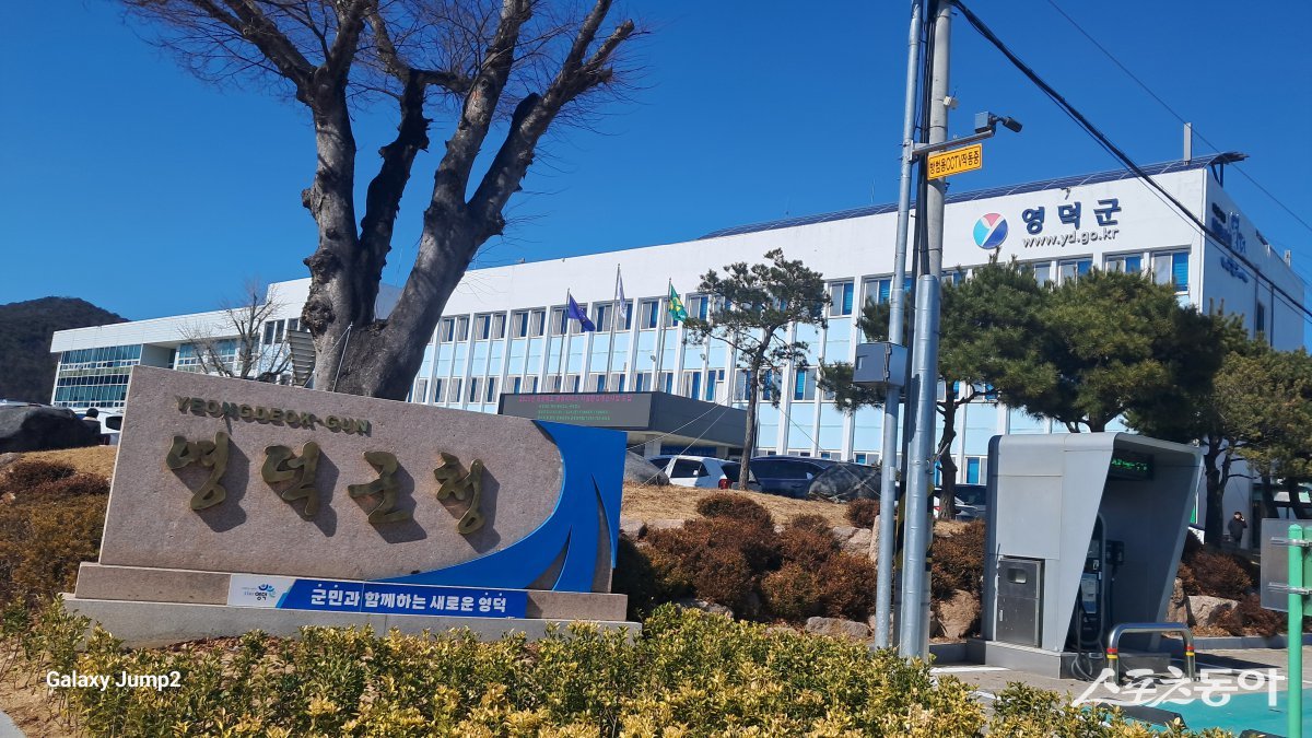 영덕군청. 스포츠동아