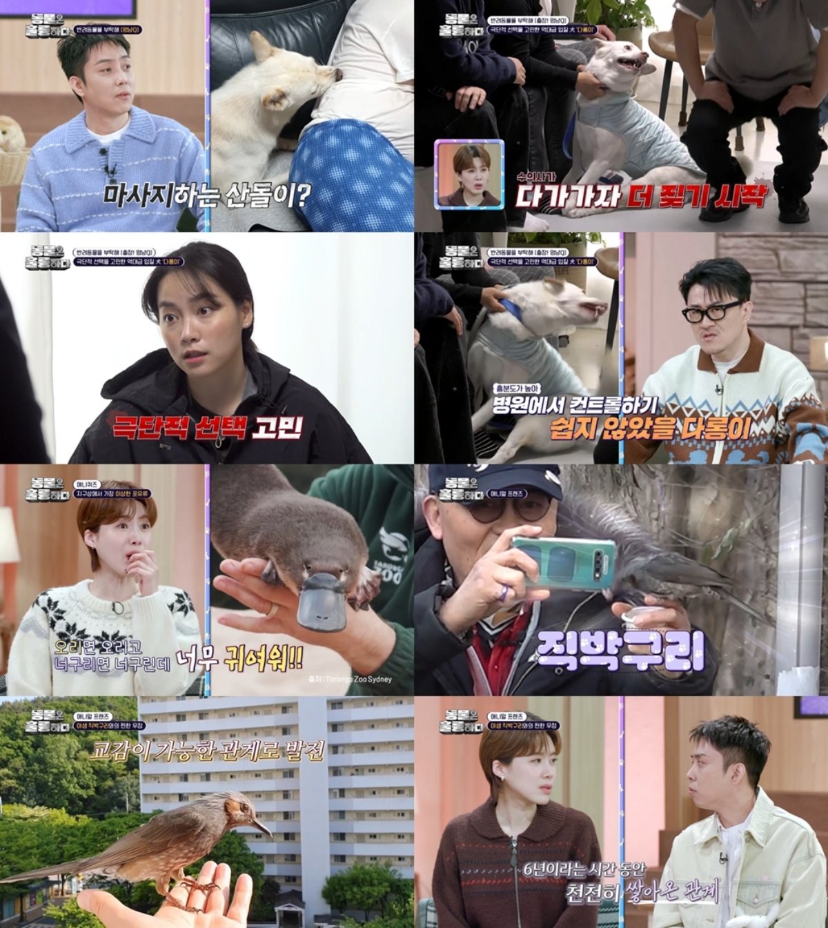 [사진 = KBS2 ‘동물은 훌륭하다’ 방송 캡처]