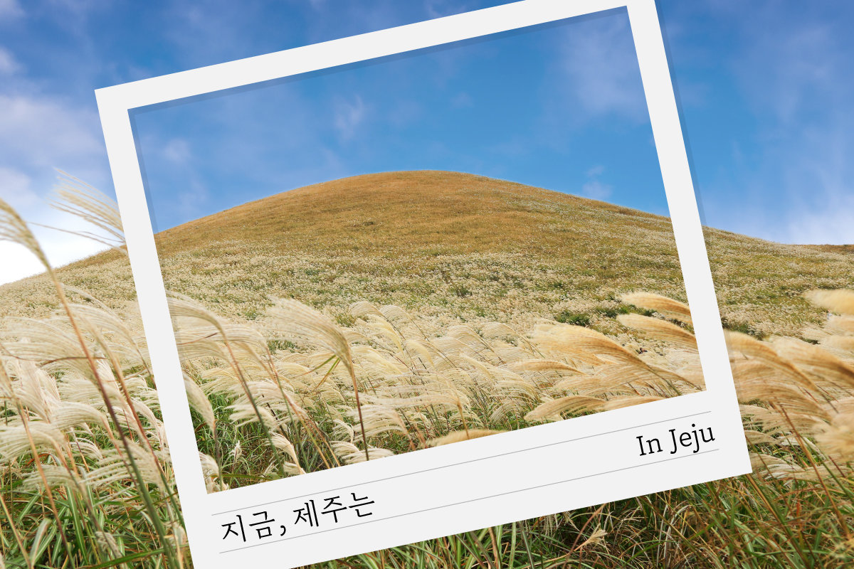 사진제공|제주신화월드