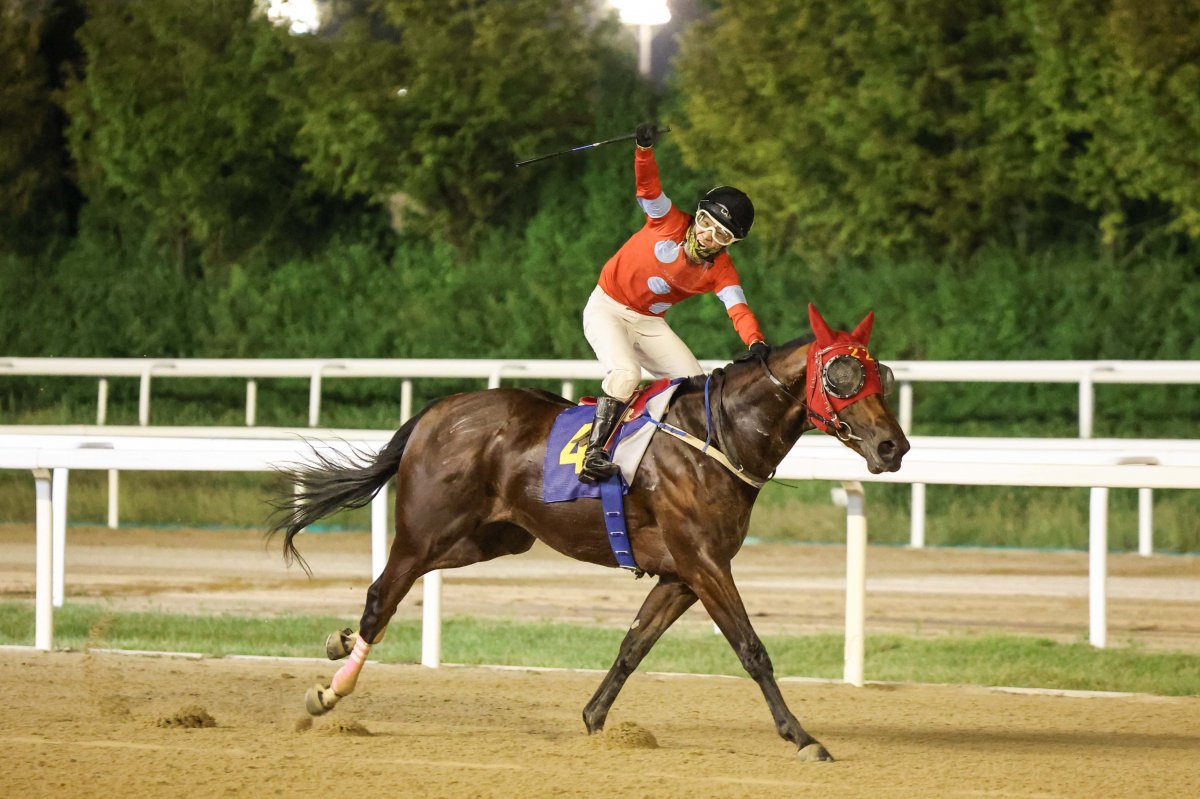 실버레인. 지난해 9월 문화일보배 우승 모습이다         사진제공｜한국마사회