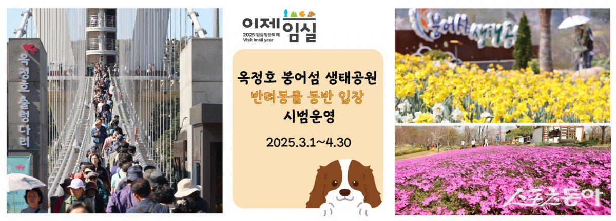 임실군이 3월부터 4월까지 옥정호 출렁다리와 붕어섬 생태공원에 반려견과의 동반 입장 시범 사업을 시행한다. 사진제공=임실군
