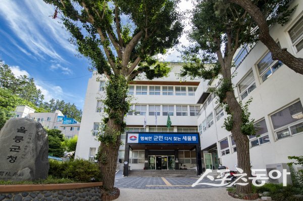 울릉군청 전경. 사진제공 ㅣ 울릉군