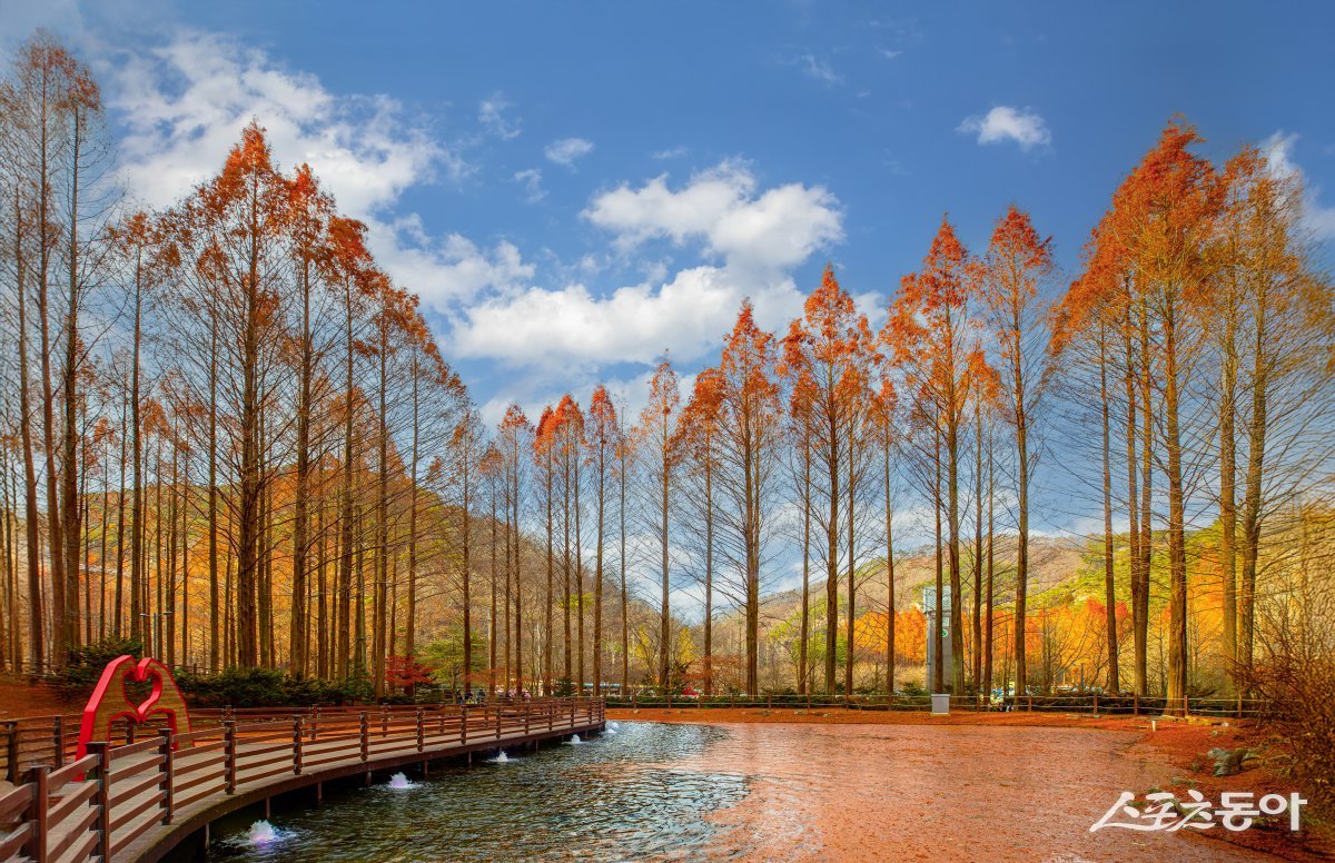 김영호 - 만추. 사진제공ㅣ경기도북부청