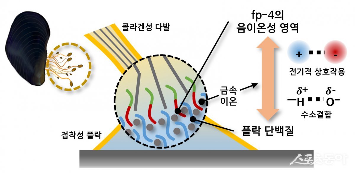 연구 이미지. 사진제공|포스텍