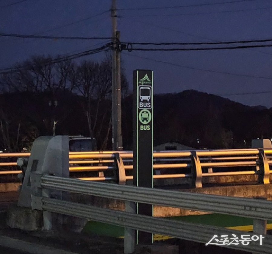 연동면 명학3리 축광 스티커 부착 모습. 사진제공|세종도시교통공사
