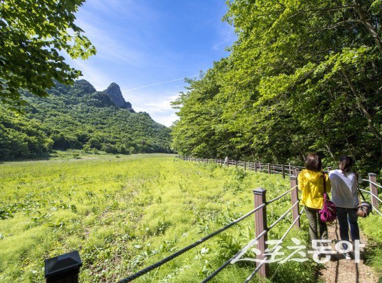 제5회 최우수 관광마을 공모사업에 한국 후보로 최종 선정된 ‘울릉 나리마을’ . 사진제공 ㅣ 울릉군