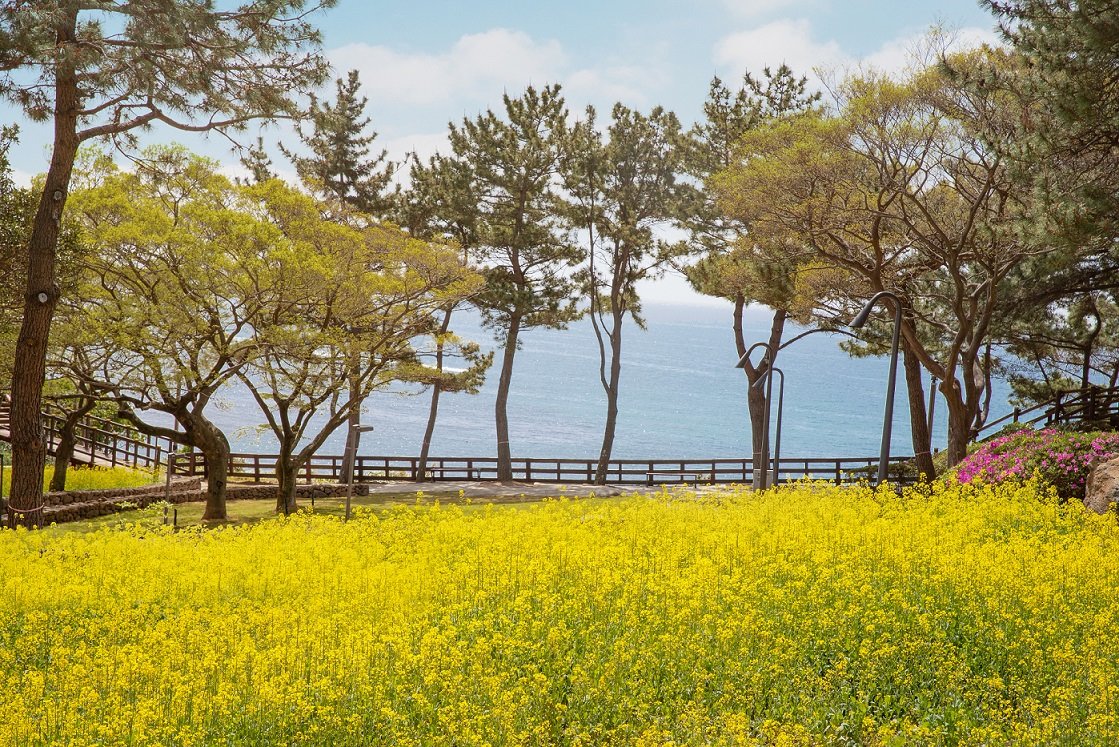 롯데호텔 제주의 바다 전망 산책로 사진제공|롯데호텔