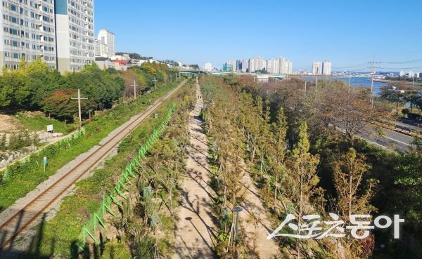 포항 관문숲 조성 후. 사진제공｜포항시