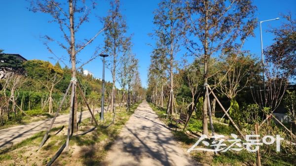 포항 관문숲 조성 후. 사진제공｜포항시