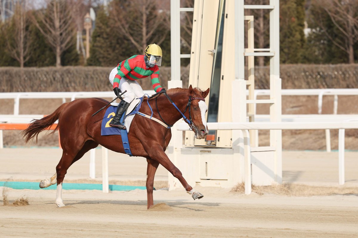렛츠런파크 서울의 23일 대상 경주에서 인기순위 9위에 불과했지만 과감한 안쪽 추입전략으로 우승한 찬페이머스 사진제공|한국마사회