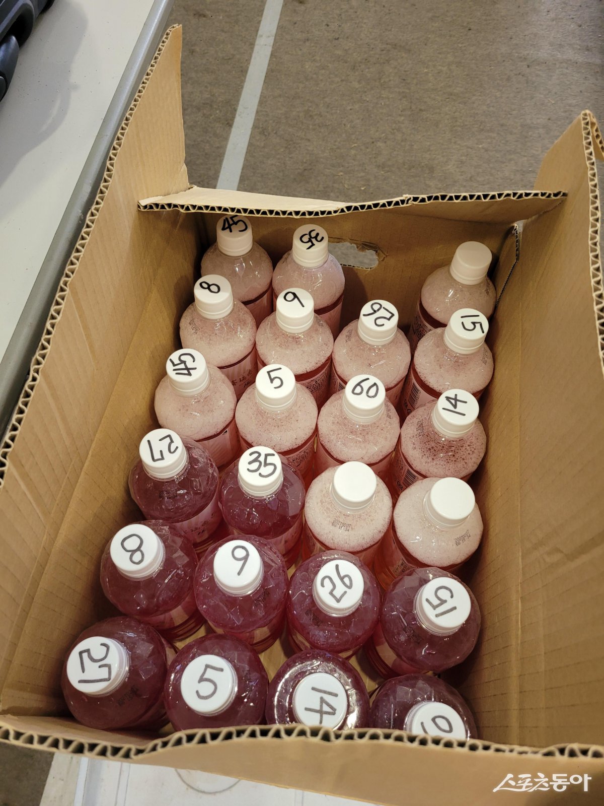 27일 일본 오키나와 킨구장에 배치된 KIA 선수들의 전해질 음료. KIA 트레이닝파트가 선수들의 등번호를 병에 모두 적어 놓았다. 선수들이 각자 자기에게 정해진 양의 전해질 음료를 알맞은 시간에 먹을 수 있게 미리 준비를 한 모습. 오키나와(일본)|장은상 기자 award@donga.com