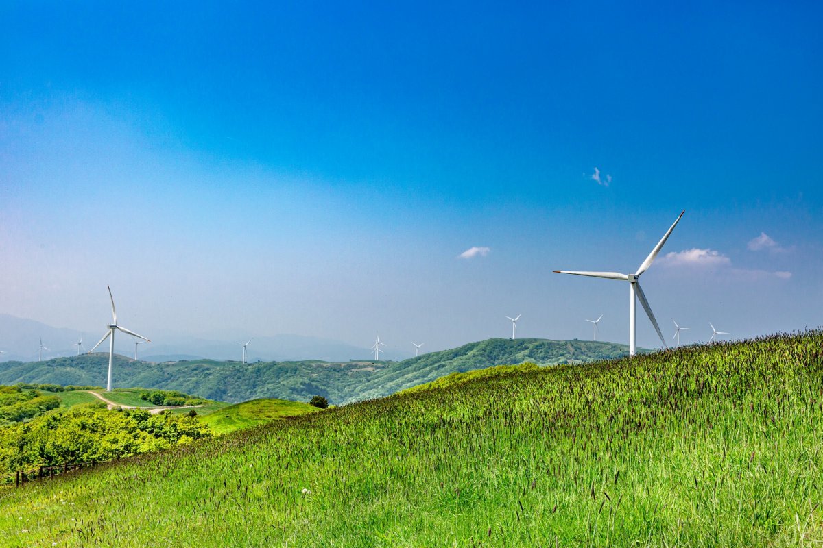 대관령 3대 목장 중 하나로 꼽히는 삼양라운드힐의 푸른 초원과 풍력발전기. 삼양라운드힐은 서울 여의도 7배에 달하는 큰 규모를 자랑한다               사진제공｜평창군