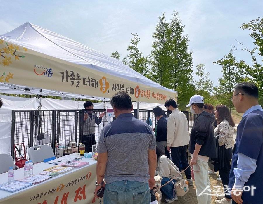 시흥시동물누리보호센터가 매년 진행하는 유기동물 입양의날 행사. 사진제공｜시흥시청