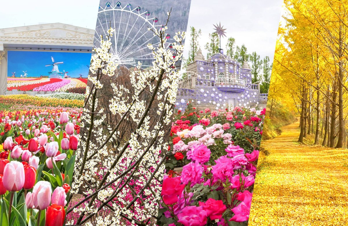 에버랜드의 다양한 정원과 숲 사진제공|에버랜드