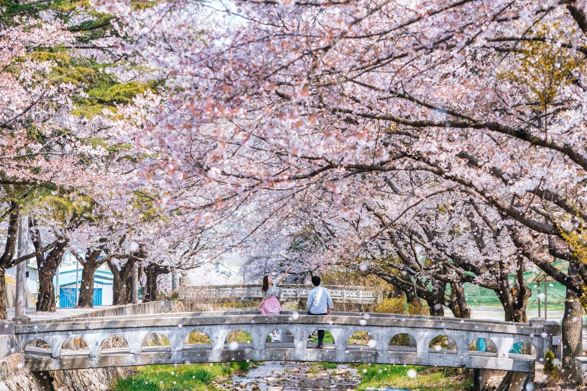 경남 거창 덕천서원 사진제공|한국관광공사