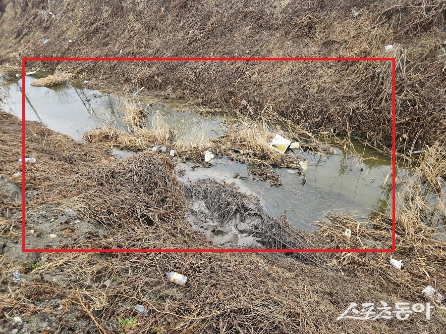 시흥시 과림동의 한 골재채취장에서 흘러나온 골재 및 오·폐수가 지방하천인 계수천을 오염시키고 있다는 의혹이 제기됐다(현장 모습). 사진｜장관섭 기자