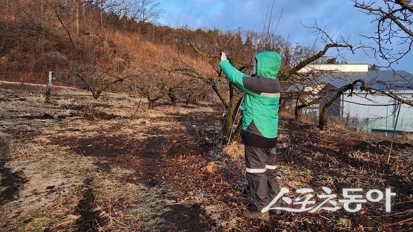 의성군 영농 안전 장비 .사진제공ㅣ의성군