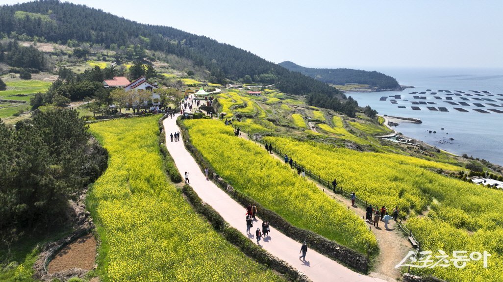 완도군 청산도 슬로길. 사진제공=완도군