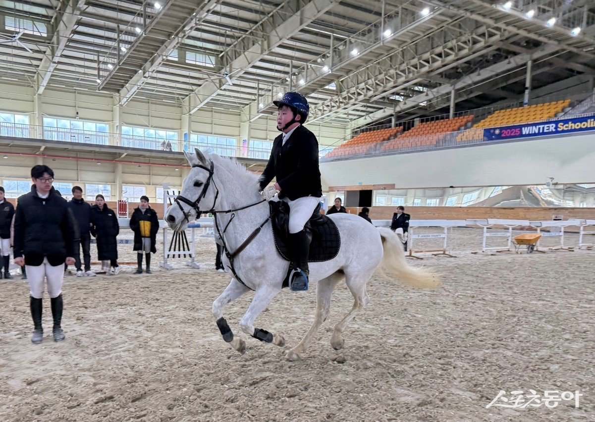 영광군 유소년 승마단이 최근 열린 2025 제3차 WINTER Schooling Show 승마대회에 참가한 모습. 사진제공=영광군