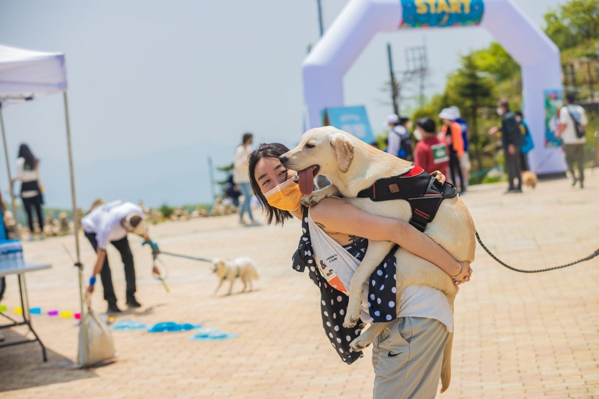 하이원리즈트가 개최하는 국내 최대 규모 반려견 행사 ‘댕댕트래킹’. 올해는5월 17일~18일, 24일~25일 등 2회에 걸쳐 실시한다 사진제공|강원랜드