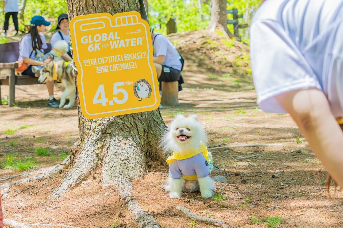 하이원리조트가 5월 개최하는 ‘2025 댕댕트래킹’은 인근 전통시장인 고한 구공탄시장과 협업한 프로그램도 운영한다 사진제공|강원랜드