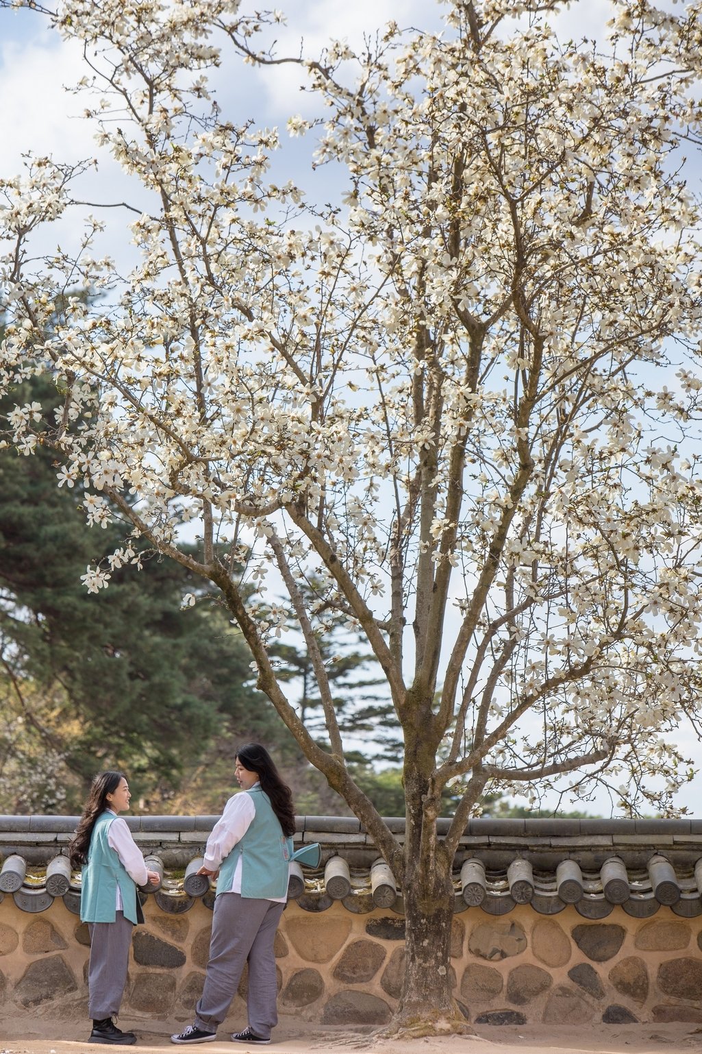 탬플스테이 소개 이미지  사진제공｜한국불교문화사업단