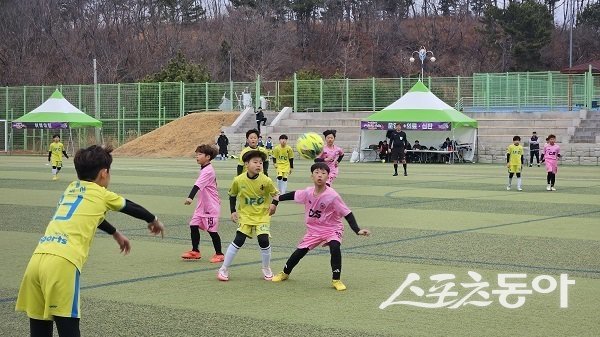 영덕군, 영덕 풋볼 페스타 스프링 리그. 사진제공 l 영덕군