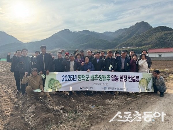 영덕군, 농촌진흥청과 배추·양배추 품질 고급화 추진. 사진제공 l 영덕군