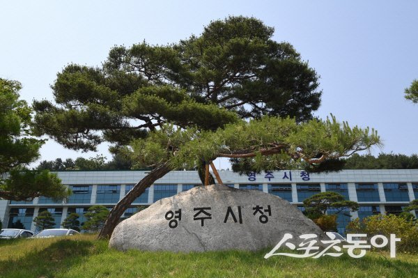 영주시청 전경. 사진제공 ㅣ 영주시