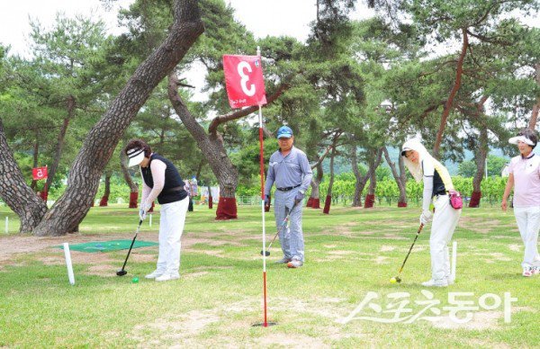 군위군 파크골프장에서 동호인들이 파크골프를 즐기고 있다. 사진제공 ㅣ 군위군