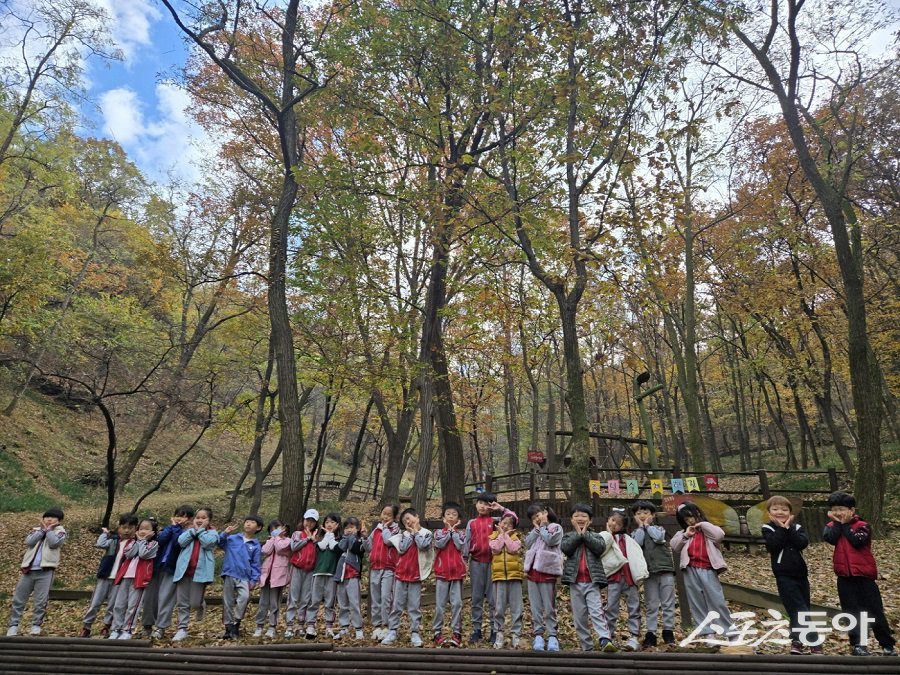 시흥시 조남숲 체험장(수인로 2236번길 83)이 자연과 생명의 소중함을 배우고 생태 감수성을 키울 수 있는 다양한 숲 체험 프로그램을 운영한다. 사진제공｜시흥시청