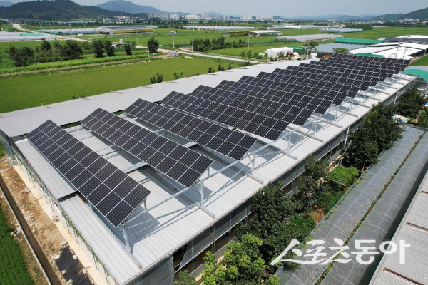 태양광 발전시설(축사 지붕 설치 사례). 사진제공 ㅣ 경북도