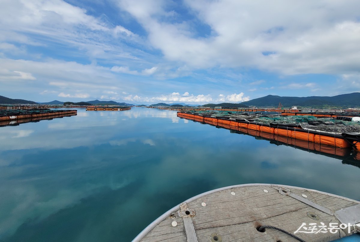 완도 보길도 전복양식장. 사진제공=전남도