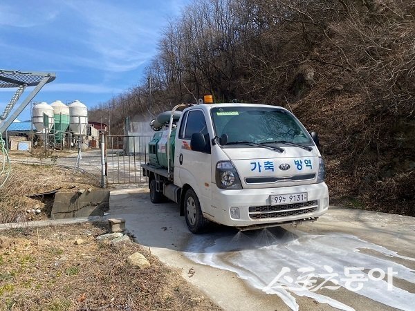 영덕군, 선제적 차단 방역. 사진제공 l 영덕군