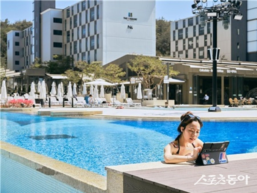 강원관광재단 강원 워케이션. 사진제공|강원관광재단