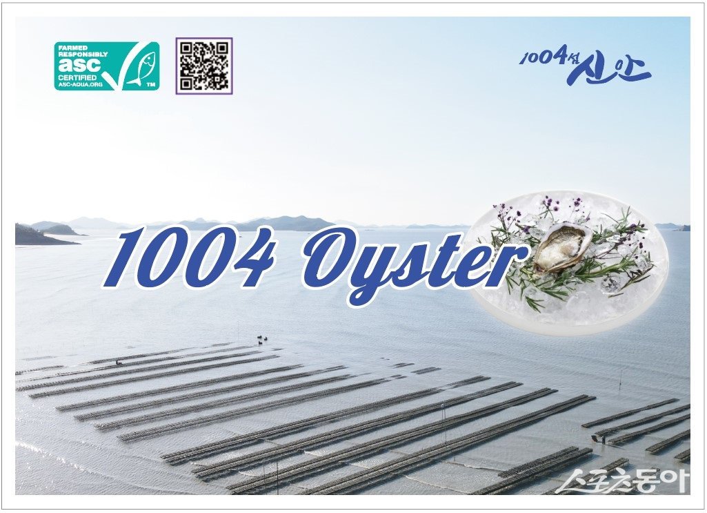 신안군이 국내 최초로 굴 품종에 대해 ASC(세계양식책임관리협의회) 국제인증을 공식 취득했다. 사진제공=신안군