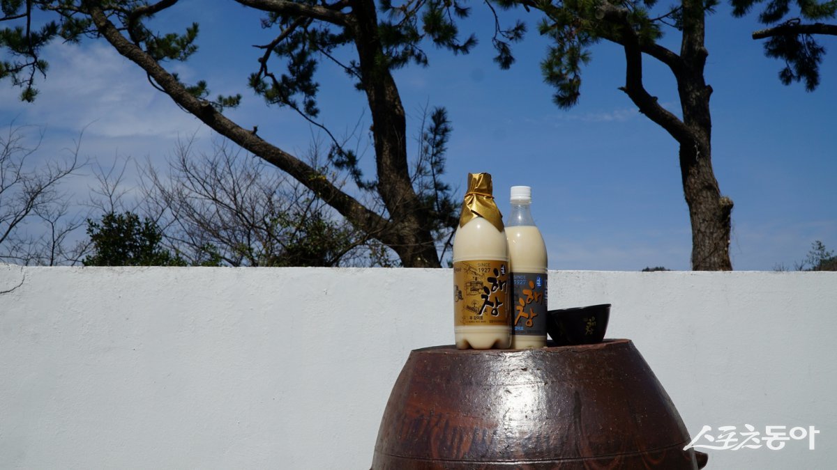 해창주조장에서 생산하는 막걸리. 저렴하게 마시는 술이라는 막걸리의 고정관념을 깨는 고급화 전략으로 시장에서 주목받는 프리미엄 막걸리다          해남｜김재범 기자 oldfield@donga.com